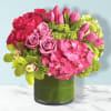 Elevate any occasion with the exquisite New Sensations Bouquet by DGM Flowers