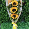 3 Sunflowers Wrapped with Baby Breath Accents  ***Paper color may vary