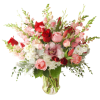 Premium roses in a mix of colors between red, and pinks sitting