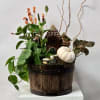 3 Plants in a Wooden Container. Includes a Little Fairy House, Pebble