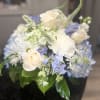 White flowers with touches of blue. 