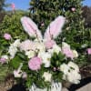 Pink and white peonies with bunny