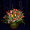 Approximately 20 locally grown spring tulips arranged in a bubble bowl vase