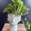 The lady head planter is a sculptural blend of art and nature&mdash;an