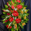 Anthuriums. Protea. Heliconia  Orchid sprays 
