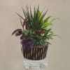 Garden Baskets are available in a variety of sizes and styles