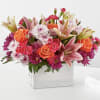 From life&#039;s big moments to sweet just because sentiments, the Light of