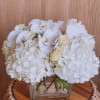 This petite all-white arrangement featuring hydrangea and orchids is the perfect all-occasion