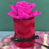 Everlasting preserved rose, touch of nature&rsquo;s elegance, beauty low maintenance. 

Preserved roses