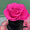 Everlasting preserved rose, touch of nature&rsquo;s elegance, beauty low maintenance. 

Preserved roses