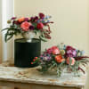 Looking for something really stunning and full of color for your home?
