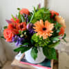 Coral and Orange assorted blooms complimented with purple hues in 6x6 container