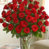 4 dozen roses arranged in a vase with assorted greenery.