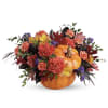 Autumn and thanksgiving season