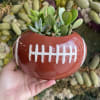A succulent garden planted in a ceramic football.