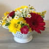 Red and yellow gerbera daisies in a short ceramic vessel. 