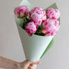 Pink Peonies 