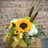 An adorable watering can container is filled with a sunflower, hydrangea, assorted
