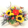A bright basket of sunflowers, Viking daisies, orange roses, gerbera daisy and