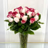 A romantic harmony of soft blush and vibrant fuchsia roses, Rose Symphony