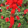 Large blanket for the cemetery with red silk roses, pine cones with