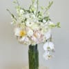 Timeless and refined, the Graceful Elegance arrangement brings a touch of serenity