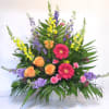 A combination of customers favorite blooms, Snapdragon, Gerbera Daisies, Stock, Larkspur, and