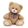 Beige bear with brown nose and a brown plaid ribbon bow. Easy