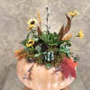 Live pumpkin centerpiece with silk flowers.  Place inside on a table
