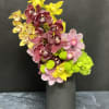 A vivid celebration of color and texture, Tropical Fusion showcases assorted Cymbidium