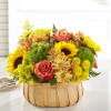 Rustic, natural beauty and vibrant shades fill this arrangement. Our Sunflower Basket