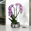 A high quality Double pink orchid arrangement with a vase 9&quot; D