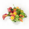 A low compact arrangement of all seasons gathering. Comprised of shaded apricot