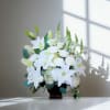 Peaceful Journey&quot; is a serene and elegant floral arrangement, featuring pure white