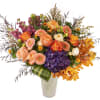 Purple hydrangea, stock, small gerbera, orchid, roses, and more arranged in a