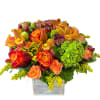 Orange roses, orange spray roses, green hydrangea, cymbidium orchids, lisianthus, cranberries and