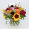Spiked Cider features Sunflowers, Burgundy Ranunculus, Deep Purple Roses, Burgundy Button Mums