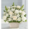 white roses paired with white daises and baby breath filler, in a