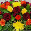 Casket spray with bright colored roses, carnations and spider mums.