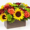 Delight your friends and family with an assortment of bright Autumn colors
