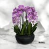 A high quality Seven pink flower orchid arrangement with a vase 15&quot;