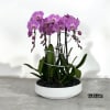 A high quality Seven pink flower orchid arrangement with a vase 15.5&quot;