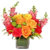 This stunning bouquet is full of spice! Filled with hot pink carnations
