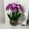 A high quality Eight purple orchids arrangement with a vase 12&quot; D