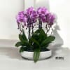 A high quality Nine pink orchids arrangement with a vase 15.5&quot; D