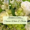 The classic white and green arrangement is always an exquisite choice. A