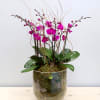This simple design features purple Orchids rising out of a large Moss-filled