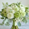 This bridal bouquet features soft green and whites. Perfect for a natural