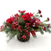 Spice up your holidays with our Krampus arrangement! Sultry reds and winter