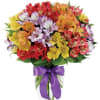 Beautiful Peruvian Lilies in a kaleidoscope of colors
